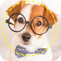 Smart Dog Breed Identifier