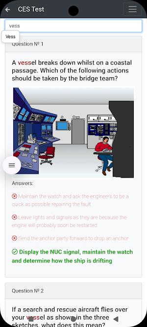 RORO passenger Operational CES Screenshot 2