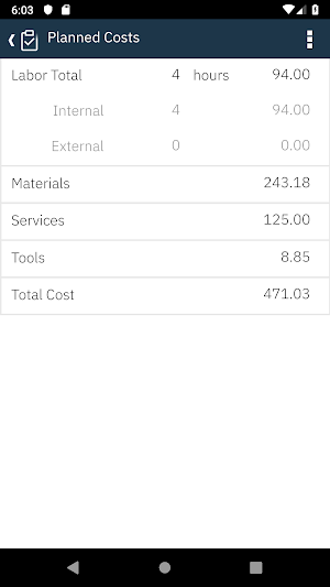 IBM Maximo Supervisor Screenshot 2