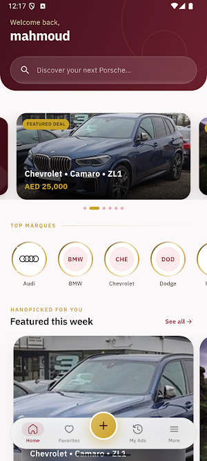 NewLine Cars Screenshot 0