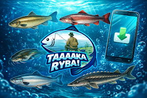 Taaaaka Ryba! Screenshot 0