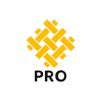 Banque Dupuy de Parseval Pro