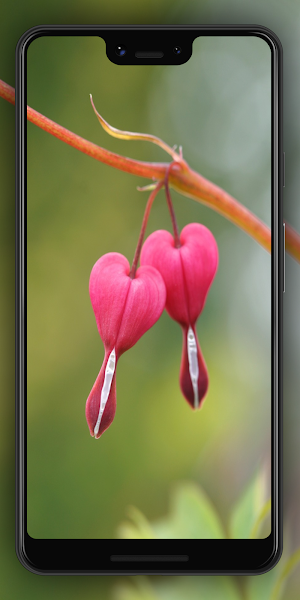 Love Vibes - Love Wallpaper HD Screenshot 1
