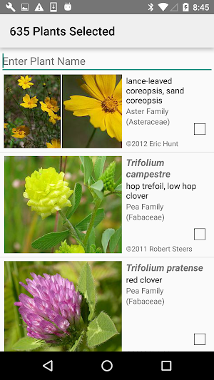 Delaware Wildflowers Screenshot 1