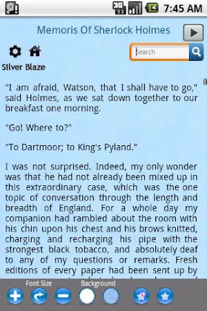 Memoris Of Sherlock Holmes Screenshot 3