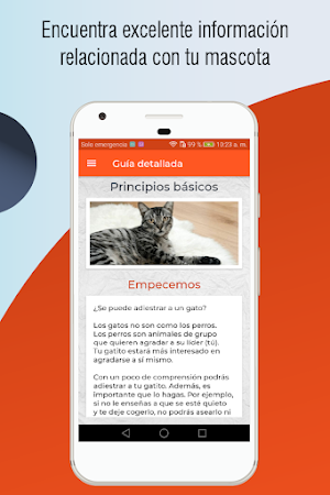 Guia para entrenar gatos, adiestramiento felino Screenshot 2