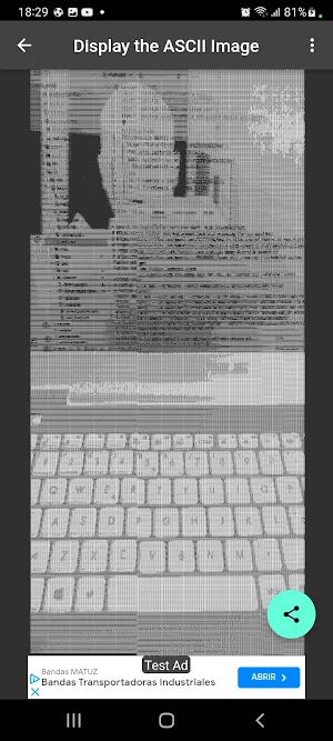 ASCII Image Screenshot 2