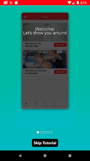 Live Karate Classes Screenshot 1
