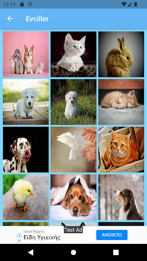 Wallpapers Phone Tablet Screenshot 1