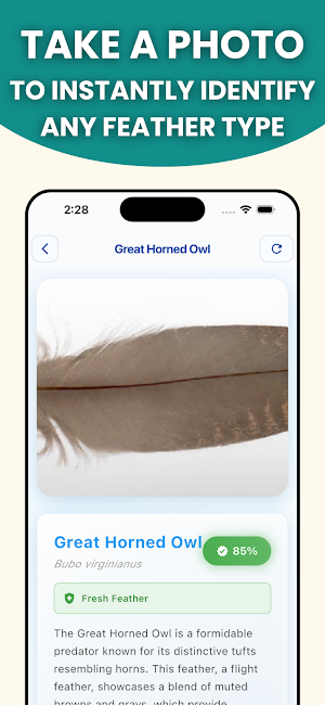 Feather Identifier: AI Scan Screenshot 1