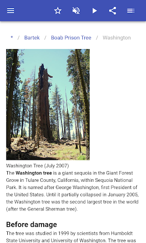 Famous trees Screenshot 3