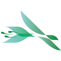 CargoFlowers