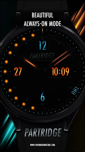 Blackbird WatchFace VIHVV07164 Screenshot 1