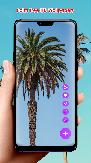 Palm Tree HD Wallpapers Screenshot 2