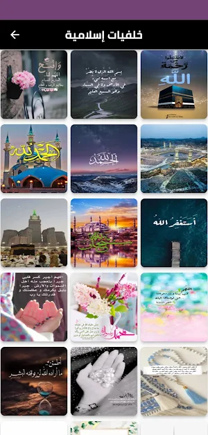 Quran and sunnah Screenshot 0
