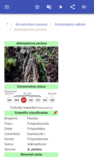 Fern species Screenshot 3