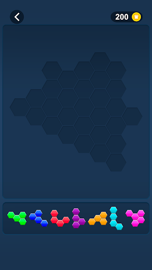 Hex Fill Block Screenshot 3
