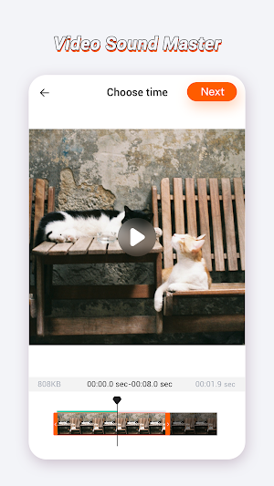 Video Sound Master Screenshot 1