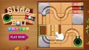 Unblock Ball:Slide Puzzle Game Screenshot 0