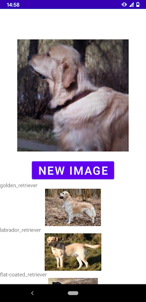 Dog breed identifier Screenshot 3