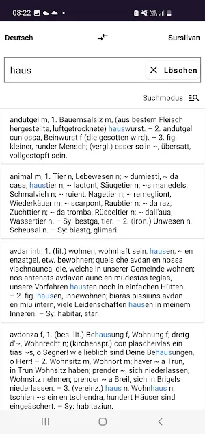 Rätoromanische Wörterbücher Screenshot 2