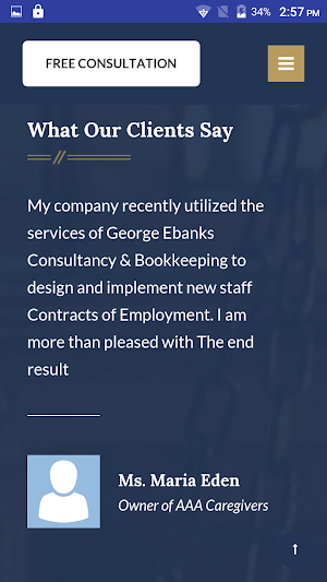 George Ebanks Consultancy Screenshot 3