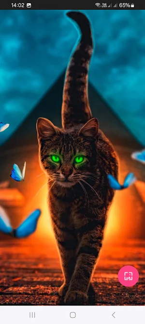 Nature Wallpapers Offline Screenshot 2