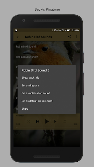 Robin Bird Sounds Screenshot 2