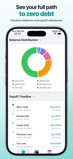 Debt Payoff Tracker Screenshot 3