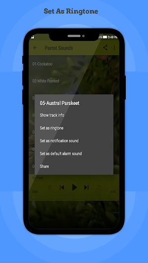 Parrot Sounds Screenshot 3