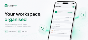 CaspiAPI: API Client Screenshot 1