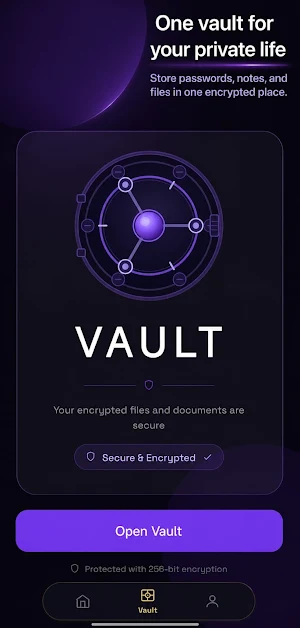 Blackhaven Vault Screenshot 0