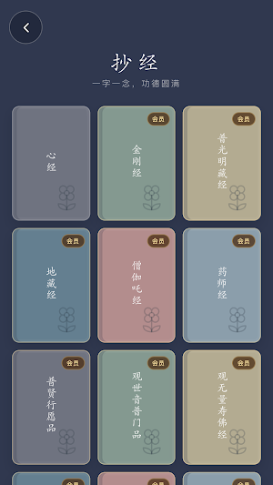 BuddhaSide Screenshot 0
