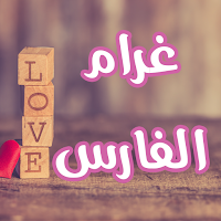 رواية غرام الفارس