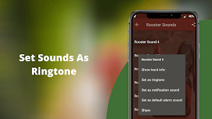 Rooster Sounds - Morning Alarm Sounds Ringtone Screenshot 2