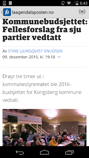 laagendalsposten.no Screenshot 1