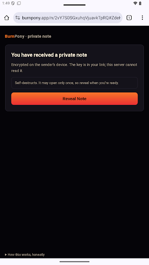 BurnPony — Burn After Reading Screenshot 3