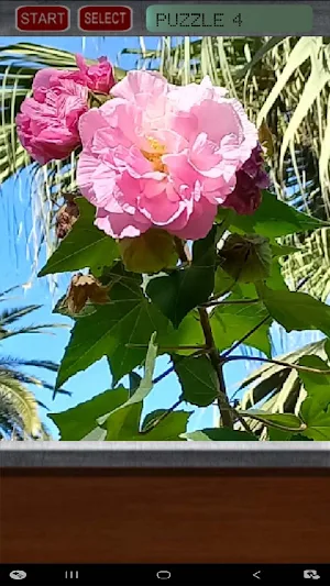 Flower Puzzle Screenshot 3
