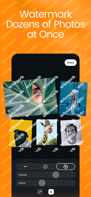 Watermark Photo: Batch Logo Screenshot 1