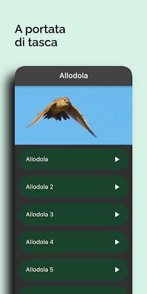 Caccia: Richiami Selezionati Screenshot 2