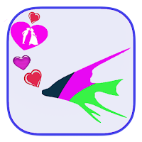 Plenty of Fish App guide