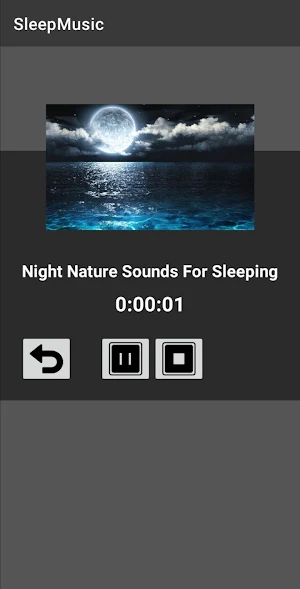 Sleep Music : Offline Support Screenshot 1