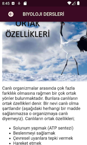 Açık Lise Dersler ve Sınavlar Screenshot 3