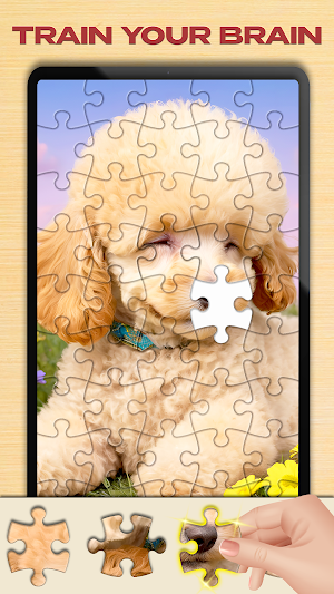 Jigsaw Puzzle: Classic Art Screenshot 1