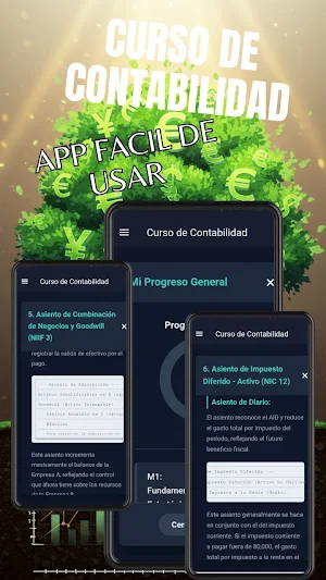 Curso de Contabilidad Screenshot 0