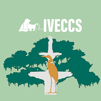IVECCS 2026