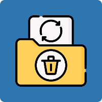 D Smart Recovery- Restore File