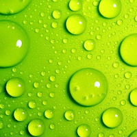 Green Wallpaper
