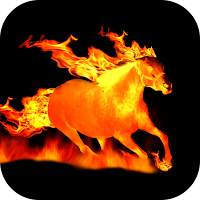Fire Wallpaper 2024
