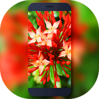 Nature Theme and Launcher
